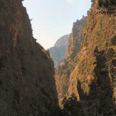 Image description