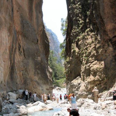 Image description