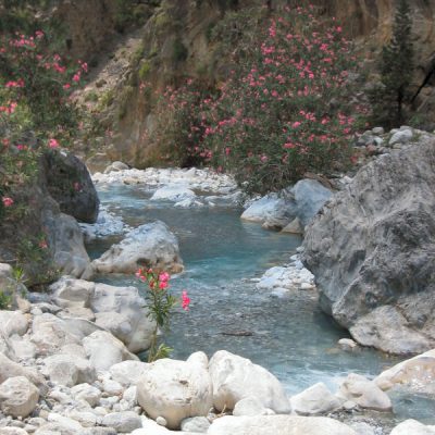 Image description