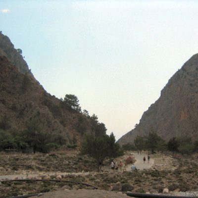 Image description