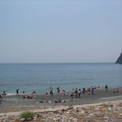 Image description