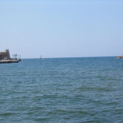 Image description