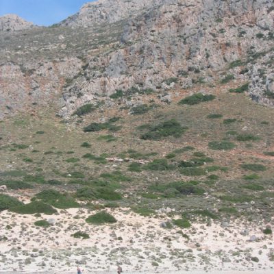 Image description