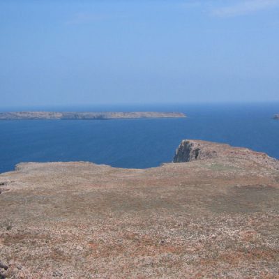 Image description