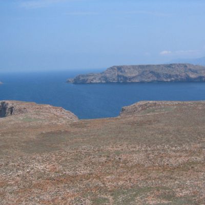 Image description