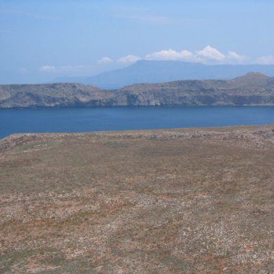 Image description