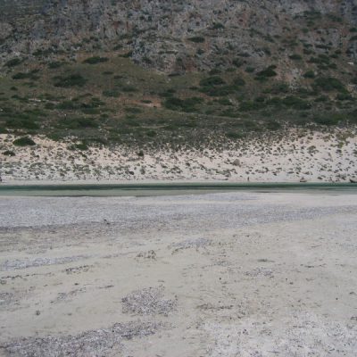 Image description