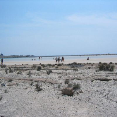 Image description