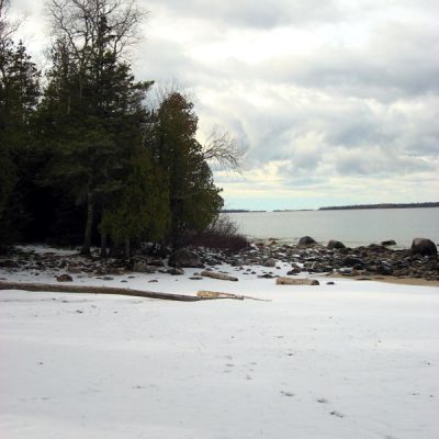 Image description
