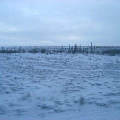 Image description