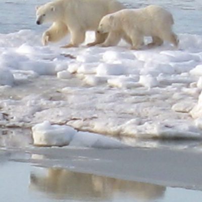 Image description