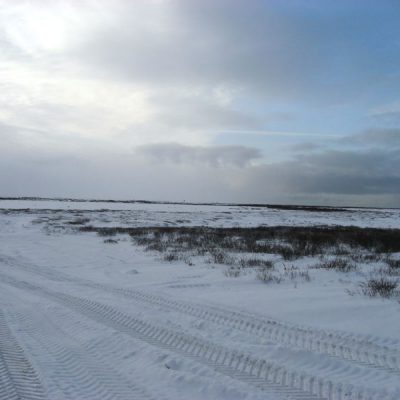 Image description