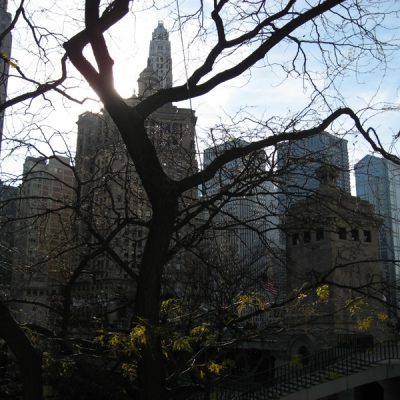 Image description