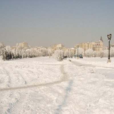 Image description