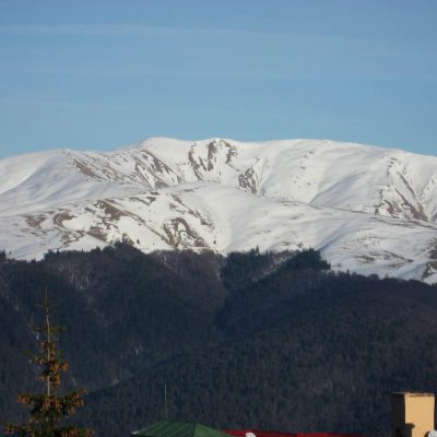 Image description