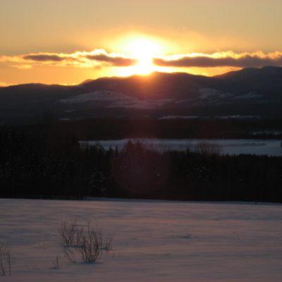 Image description