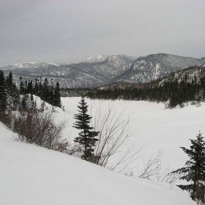 Image description
