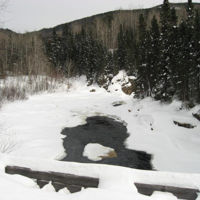 Image description