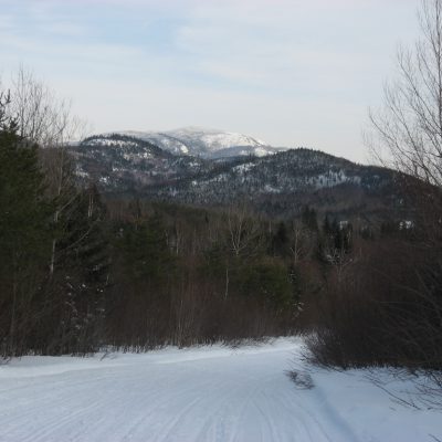 Image description