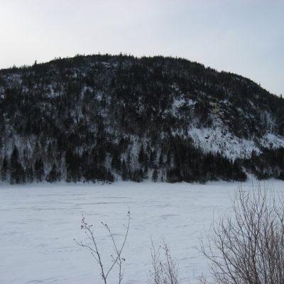 Image description