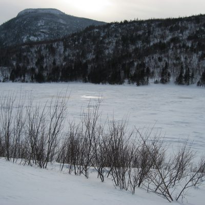 Image description