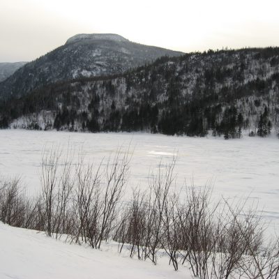 Image description