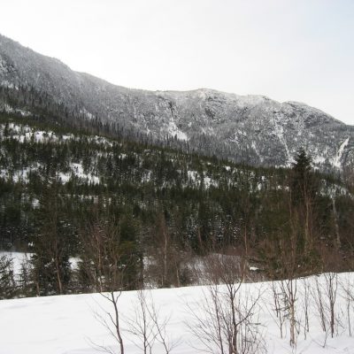 Image description