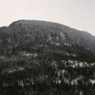 Image description