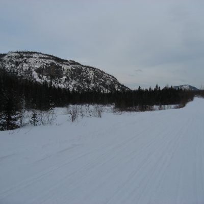Image description