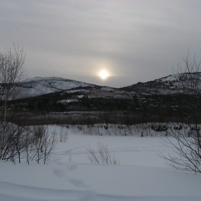 Image description