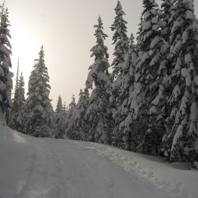 Image description