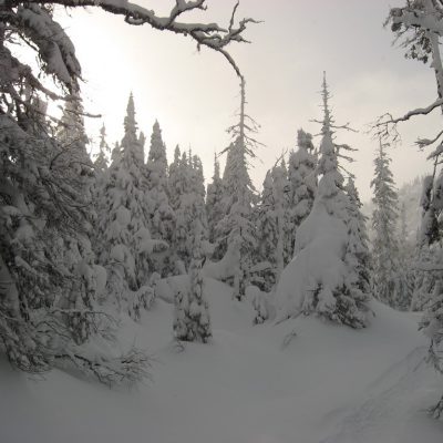 Image description