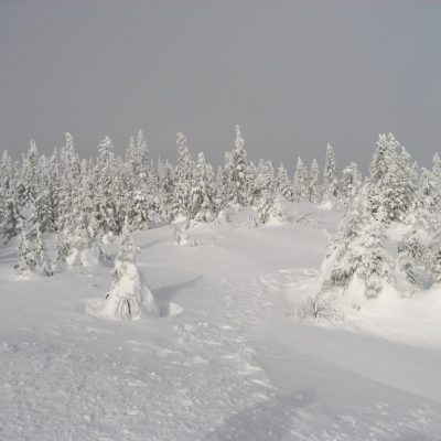 Image description
