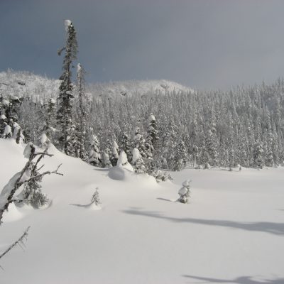 Image description