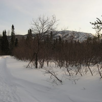 Image description
