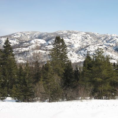 Image description
