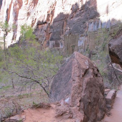 Image description
