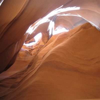 Image description