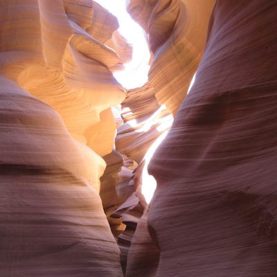 Image description