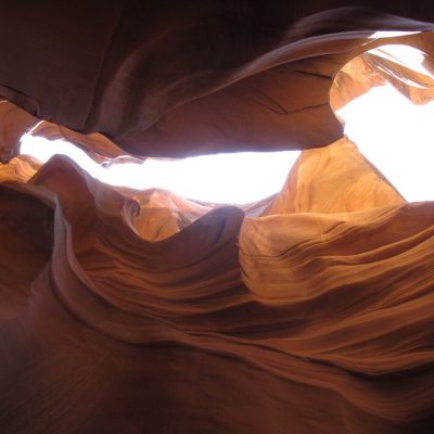 Image description
