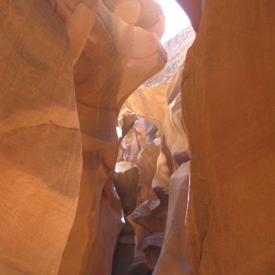 Image description