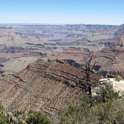 Image description