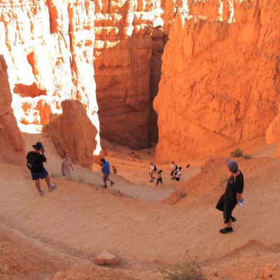 Image description