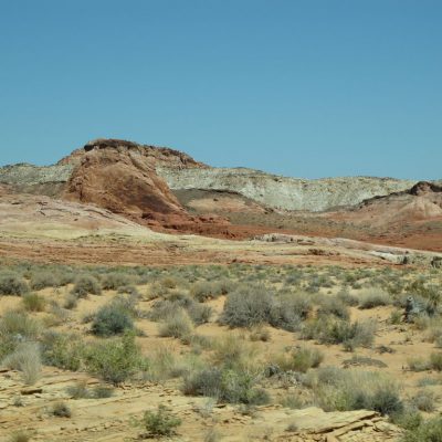 Image description
