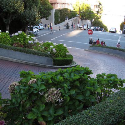 Image description