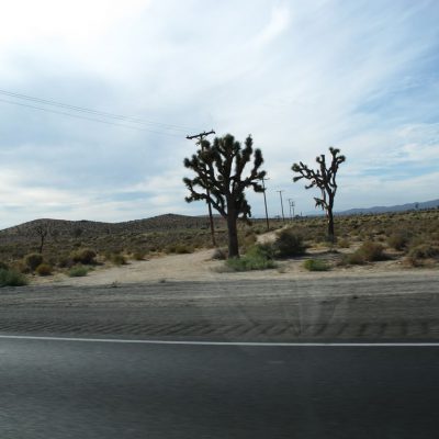 Image description