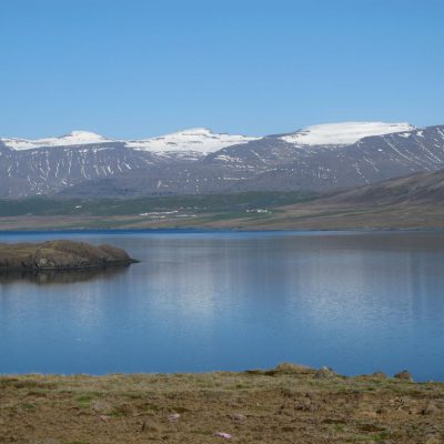 Image description