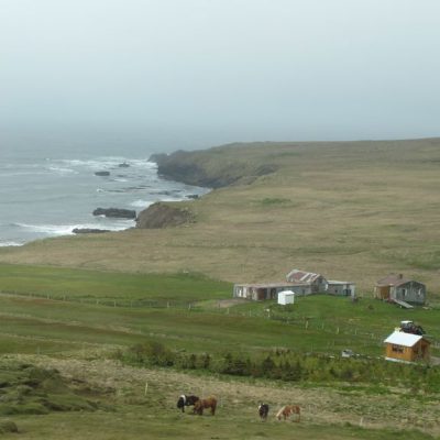 Image description
