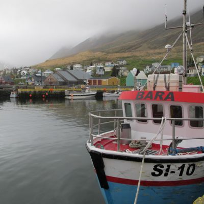 Image description