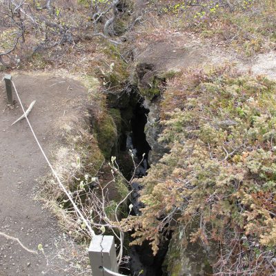 Image description